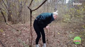 Крым на 360.Поход за грибами