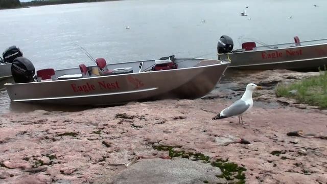 Рыбалка в Манитобе. Рыбалка в Канаде. Eagle Nest Resorts смотреть онлайн