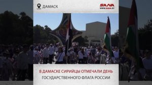 На площади Омейядов в Дамаске сирийцы отмечали День государственного флага России