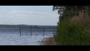 Южноуральское водохранилище. Карантинное лето 2020.