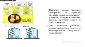 Упражнения для формирования естественнонаучной грамотности на уроках биологии_БОУ № 37