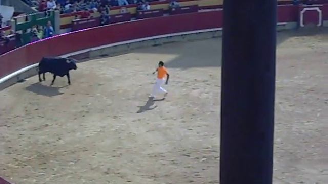 julian gomez carpio смотреть онлайн