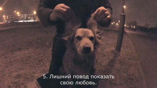 Тактильный контакт. А если проще - обнимашки! смотреть онлайн