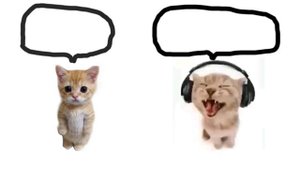 Песня со смыслом Forget meme