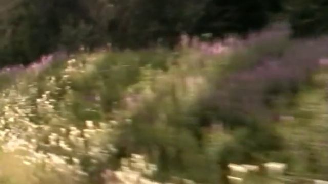 Свирь - Подпорожье (линия Свирь - Волховстрой, Окт ж\д)
