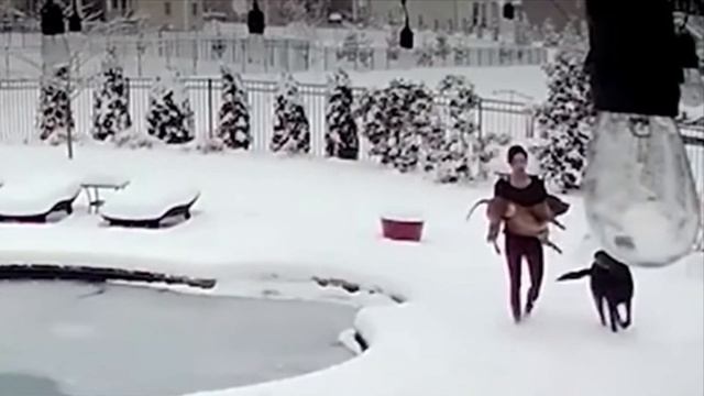 Замерзла в бассейне. Замерзший бассейн