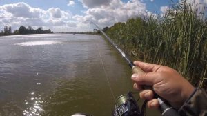 Астрахань 10. 2018 База отдыха "Наша Фазенда"