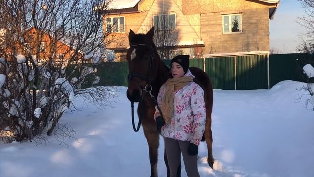 КУПИЛА КОНЯ В 16 ЛЕТ?! | Моя История | смотреть онлайн