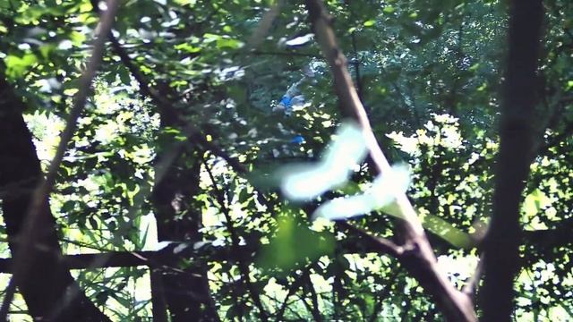 07 06 2020 Барсуки смотреть онлайн