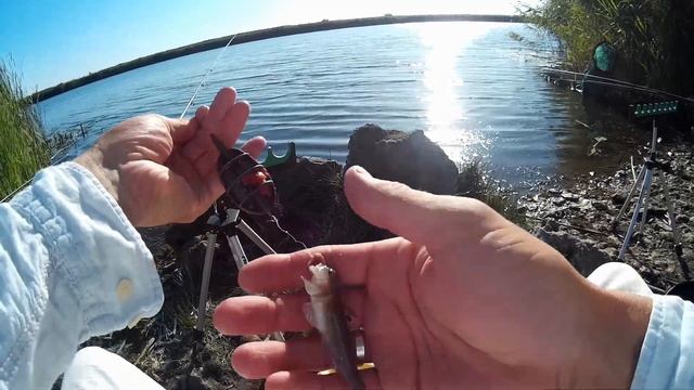 Рыбацкая одиссея. Рыбалка на Южном Буге и Александровском водохранилище. Рыбалка в сентябре