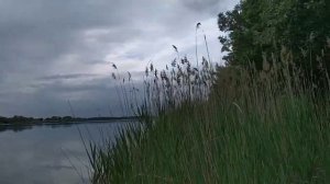 Река Дон
