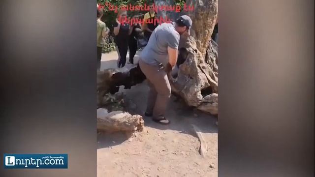 Случайно сломал «дерево желаний» в Армении и удалил аккаунт: видео из Агарцина всполошило сеть смотреть онлайн