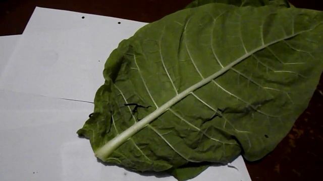 Сушка, выжелчивание табачного листа (Drying, vyzhelchivanie tobacco leaf) смотреть онлайн