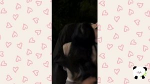 Китайский тик ток #13/ 抖音/ China Tik Tok