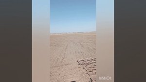посев люцерны 2 га.