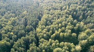 Богатая природа Сибири