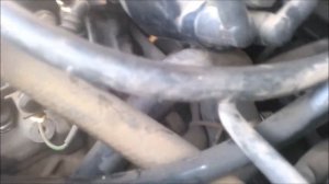 Где смотреть модель двигателя на ауди 80, 90, 100