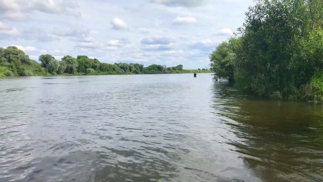 река Ока с.Новосёлки 17- 24 июль 2017 г смотреть онлайн