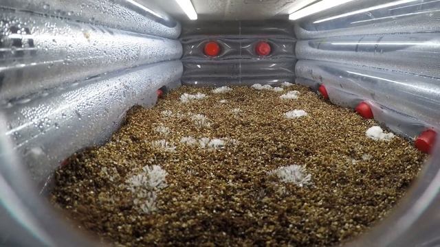 Inflatable Monotub Time Lapse смотреть онлайн