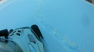 Снегоход Тайга с Лифаном 20  Расход бензина