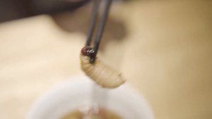 Едим червей во Вьетнаме, личинки кокосового жука