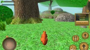 Играю в симулятор белки!  Делаем квесты,  обещяем ето не будет вам скучно! /