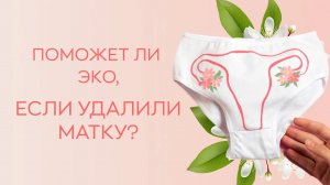 🧬 Поможет ли ЭКО, если удалили матку?