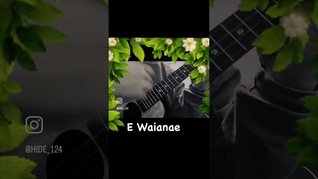 E waianae #ウクレレ弾き語り #hawaiianmusic #ウクレレ #ukulelecover #koaloha #koalohaukulele #lovesong