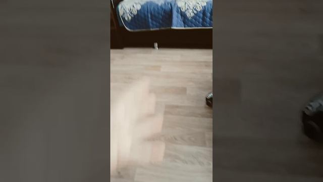 #реки #басики Лили ????? смотреть онлайн