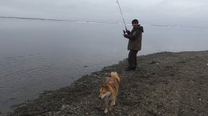 Камчатка, рыбалка на гольца и много уток.