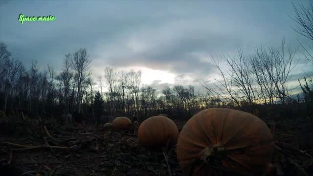 ЗОЛОТАЯ ОСЕНЬ . Музыка которая покоряет . смотреть онлайн