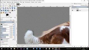 Урок по GIMP 2.10.6 №5 - Вырезка объёмного объекта на фото