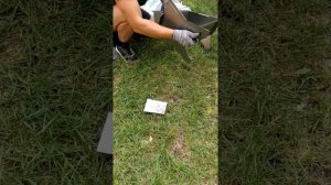 Видео по сборке разборного мангала "Лидер"