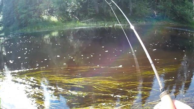 С ультралайтом по Западной Двине. Щука окунь. В поисках рыбы. Глухие места Тверской области. смотреть онлайн