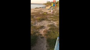 Пляжи Крыма 2017. Мирный, Новоозерное - залив Донузлав.