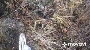 Протестил металоискатель терминатор про