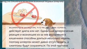 Как понять, что у собаки аллергия на продукты