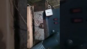 Пеллетная горелка Автотрон на отходах подсолнуха, у клиента