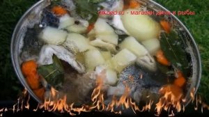 Рецепты из хариуса - как приготовить хариуса пошаговый рецепт - Уха из хариуса за 240 минут