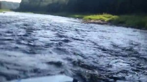 река оять Настоящая рыбалка