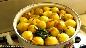 Груша мармеладная в мятном сиропе. рецепт на зиму.