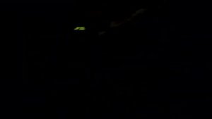 Поезд попал в тоннель