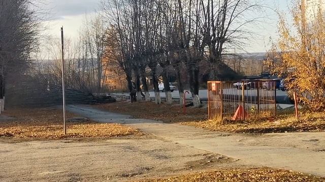 Прощай, тополиная аллея по ул.Заславского смотреть онлайн