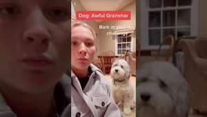 Реакция Собакена на Лай Хозяйки