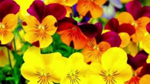 Бога легко искать