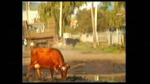 Колхоз, село в Буинском районе - 90-е годы