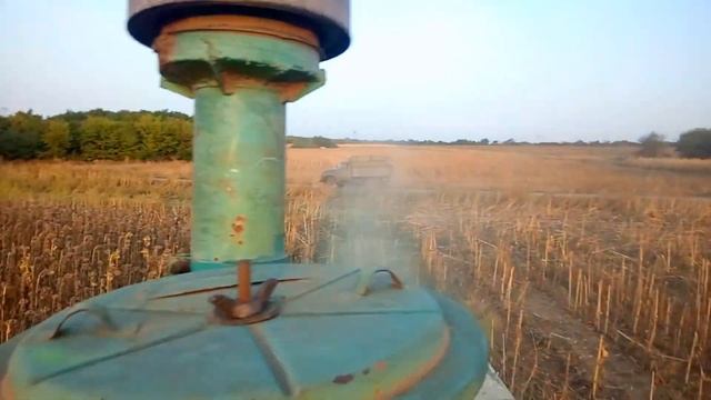 Уборка подсолнуха 2020 КАМАРО 2 (нусид) смотреть онлайн