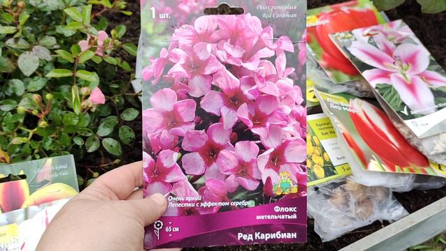 Мои покупки из магазина Окей и Леруа 🌷 для дачи!🌷🌷 смотреть онлайн