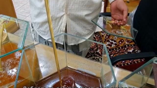 Самый дорогой мед смотреть онлайн