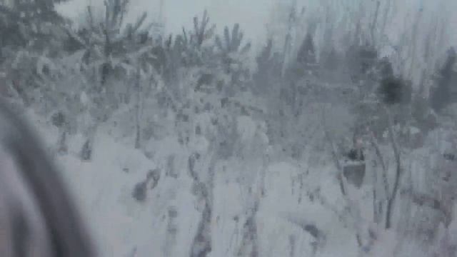 МУХТАР ПО ЛЕСУ смотреть онлайн